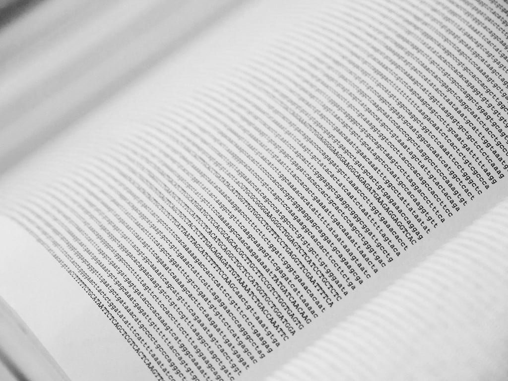 25 aniversario del Proyecto Genoma Humano: una historia tortuosa e interminable