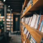 Imagen: Irina Magrelo / Shutterstock